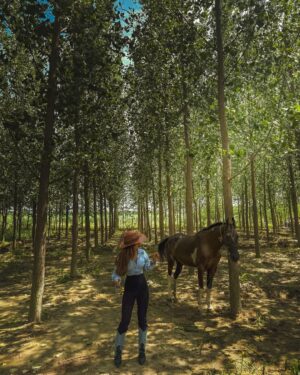 Gurleen Dahelay Instagram - yee haw🐎
it's giving toy story and i'm in love
Been MIA for the past 2 days, away from network and living the country girl life. It has been therapeutic in ways i cannot even imagine ✨