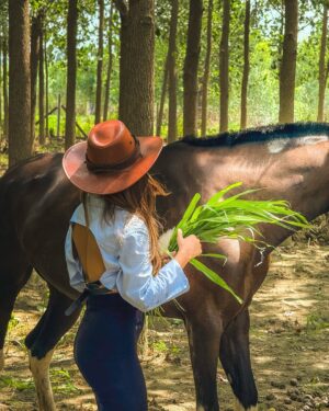 Gurleen Dahelay Instagram - yee haw🐎
it's giving toy story and i'm in love
Been MIA for the past 2 days, away from network and living the country girl life. It has been therapeutic in ways i cannot even imagine ✨