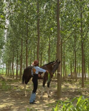 Gurleen Dahelay Instagram - yee haw🐎
it's giving toy story and i'm in love
Been MIA for the past 2 days, away from network and living the country girl life. It has been therapeutic in ways i cannot even imagine ✨