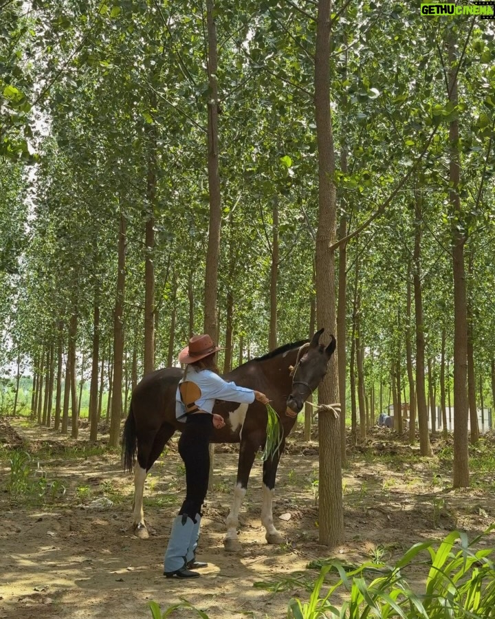 Gurleen Dahelay - 3K Likes - yee haw🐎

it's giving toy story and i'm in love

Been MIA for the past 2 days, away from network and living the country girl life. It has been therapeutic in ways i cannot even imagine ✨