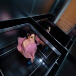 Haifa Wehbe