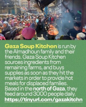 Haley Webb Instagram - Via @wawog_now Palestinians have sounded the alarm for months over the Israeli-engineered famine starving Gaza’s residents. The U.S.-Israeli zionist alliance is marching ahead with its plan to exterminate Palestinians in Gaza through violent and systematic starvation. Anas Al-Sharif reports, "85% of Gaza's population have entered the "fifth stage" of malnutrition — the most critical and dangerous phase, which is often irreversible even if food becomes available in the future."

The international community has watched on as aid distribution has been hijacked by American mercenaries and IOF soldiers who shoot at aid seekers on the brink of starvation. Yesterday alone, 133 Palestinians were martyred including 3 children due to malnutrition and 38 aid seekers. Today, the Ministry of Health reported that 18 Palestinians have died of hunger in the past 24 hours, and another 73 people massacred after occupation forces indiscriminately fired “warning shots” into a crowd making their way towards the distribution sites run by the criminal Gaza “Humanitarian” Foundation. Gaza is not experiencing a humanitarian crisis. Rather, the U.S. and Israel are deliberately organizing the starvation of 2 million residents who’ve survived 21 months of missile attacks, sniper drones and endless bombs that have leveled much of the region to rubble.

Testimonies from Palestinians on the ground should be more than sufficient for the world to act, and yet the international community waits for a flawed system to officially recognize the crisis as “famine.” Gaza is “at risk of famine,” says the IPC Global Famine Review Committee, whose food insecurity scale measures famine in death, not in lived experience. These legal designations come too late. The time to act is now.

Between the astronomical prices for scarce supplies in the besieged region and the deadly risk of collecting food at U.S.-Israeli aid sites, it is our duty to materially support efforts of Palestinians who keep each other alive. 

Visit the Iinks or each group’s profile for direct ways to support. 

Illustration by @kamal_sharaf_1978
