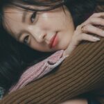 Han Hyo-joo