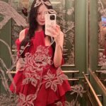 Han Ye-seul
