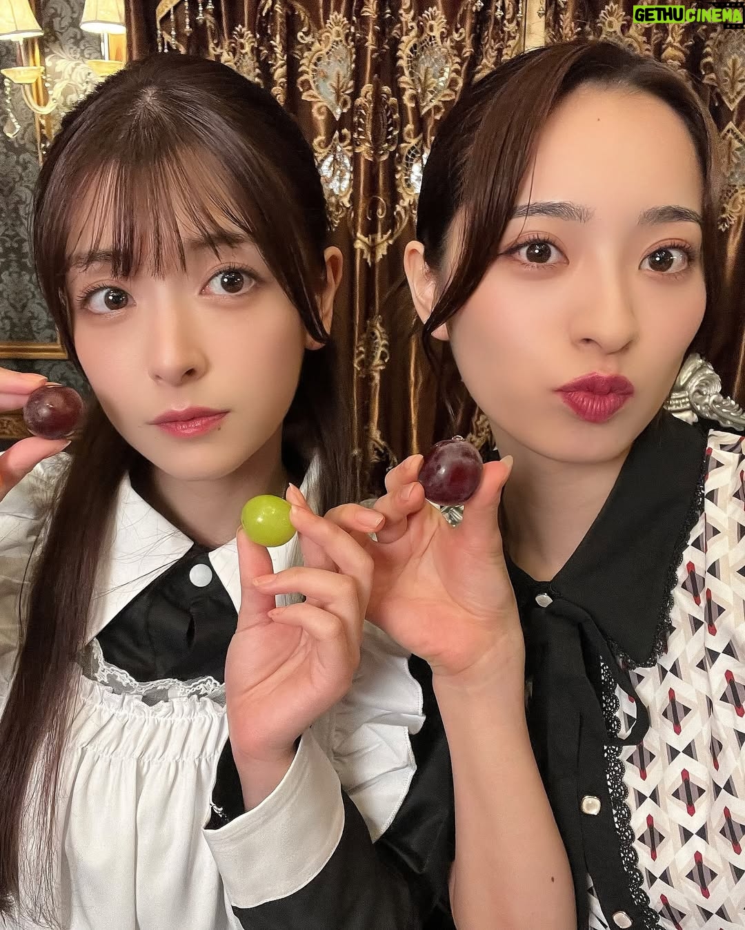 Hazuki Kimura - 4K Likes - <お知らせ>
主演をつとめさせて頂いた縦型ショートドラマ
『月明かりに君は誓った』が本日より公開されました🌟
.
.
目が見えない美女と"悪魔"で知られるイケメン社長
運命の再会を果たした2人の行き着く先は…

縦型ショートドラマアプリ『Top Short』にて公開中です❕ご視聴よろしくお願いします ^^

#topshort #ごっこ倶楽部