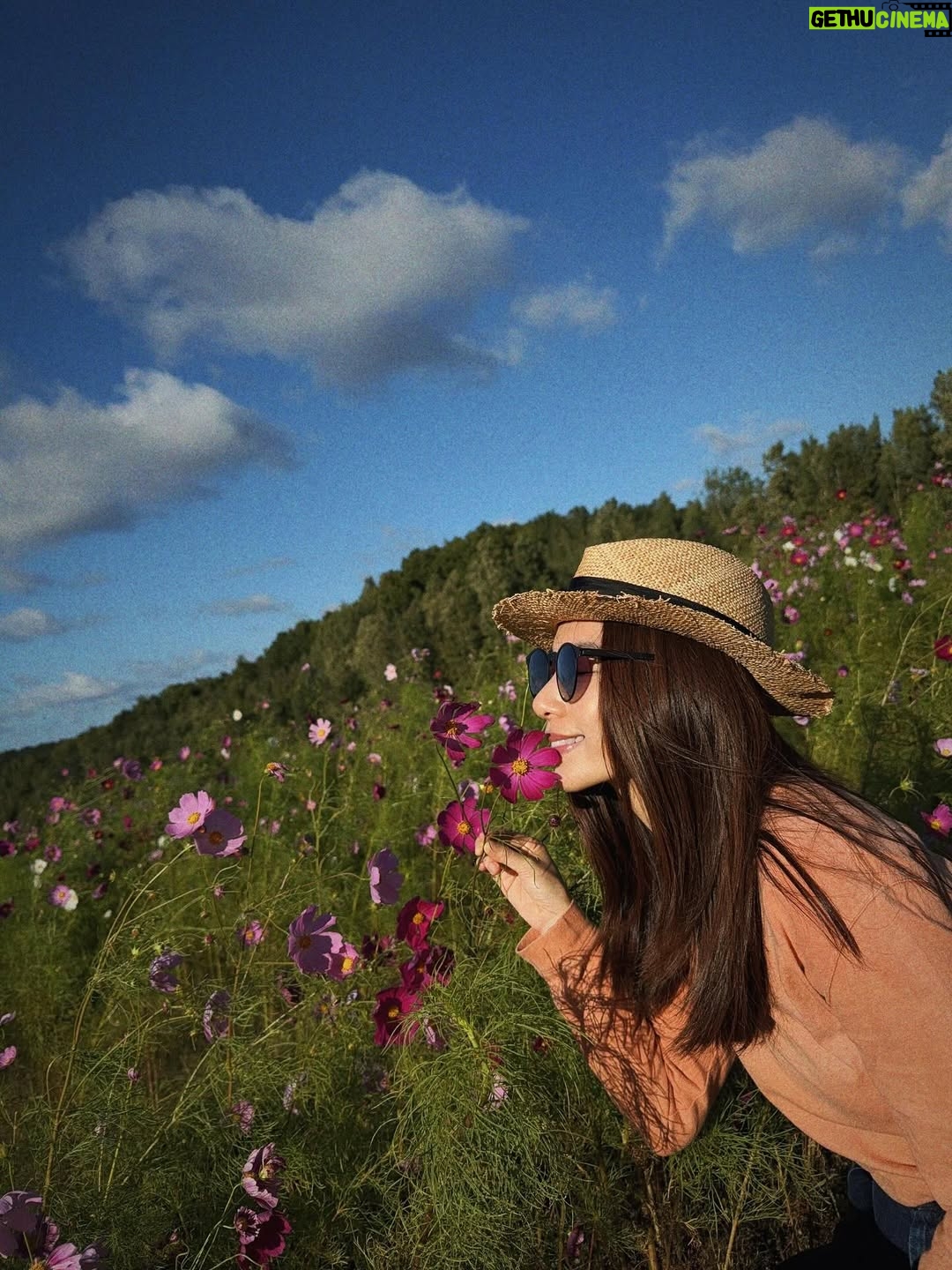 Hebe Tien Fu-chen - 100.6K Likes - 🍂秋分

享受完這個夏天最後一隻冰淇淋，總覺得才告別了難忘的田調，秋分就來到。

秋天竟也過了一半，這些日子你們好嗎？

我一樣，
被大自然、瑜珈、旅行、家人朋友、美食美酒和蜜露珂娜滋養著，覺得充滿活力光采、幸福快樂。

季節更迭，持續補充蜜露珂娜，保持水潤不被秋燥煩擾。我們一起繼續好好保重自己喔！

#秋分
#時光飛逝
#蜜露珂娜
#光速小粉包
#留住水潤光澤

蜜露珂娜補充站👇🏽
https://swe02.com/7EWv3