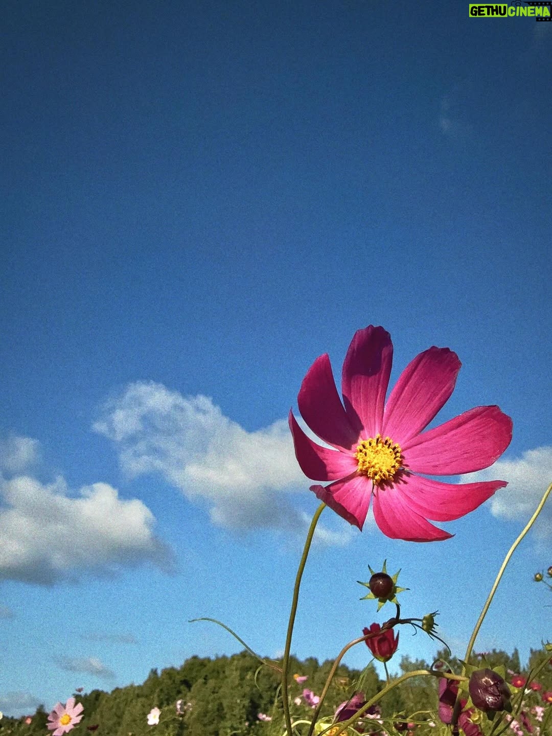 Hebe Tien Fu-chen - 100.6K Likes - 🍂秋分

享受完這個夏天最後一隻冰淇淋，總覺得才告別了難忘的田調，秋分就來到。

秋天竟也過了一半，這些日子你們好嗎？

我一樣，
被大自然、瑜珈、旅行、家人朋友、美食美酒和蜜露珂娜滋養著，覺得充滿活力光采、幸福快樂。

季節更迭，持續補充蜜露珂娜，保持水潤不被秋燥煩擾。我們一起繼續好好保重自己喔！

#秋分
#時光飛逝
#蜜露珂娜
#光速小粉包
#留住水潤光澤

蜜露珂娜補充站👇🏽
https://swe02.com/7EWv3