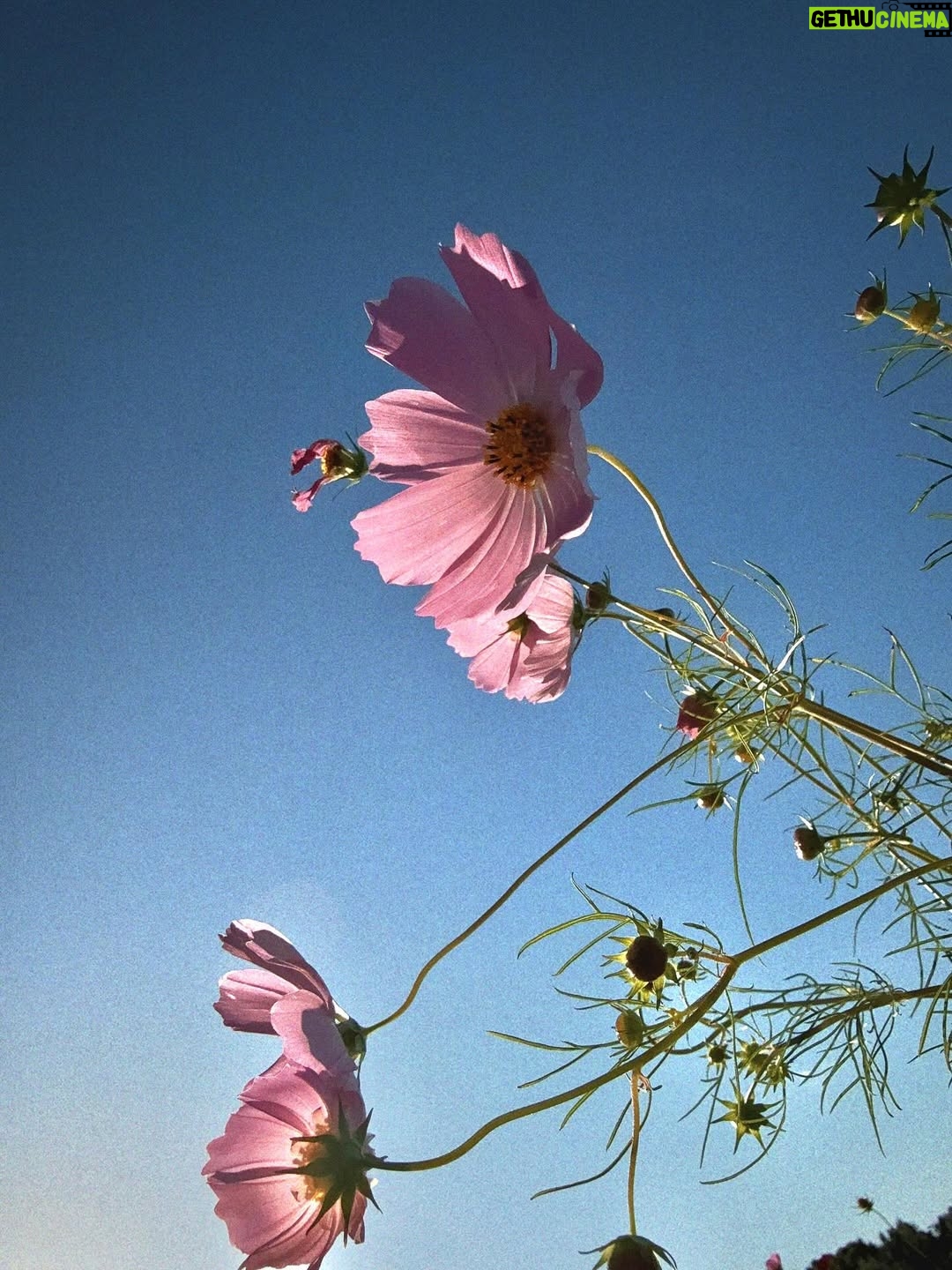 Hebe Tien Fu-chen - 100.6K Likes - 🍂秋分

享受完這個夏天最後一隻冰淇淋，總覺得才告別了難忘的田調，秋分就來到。

秋天竟也過了一半，這些日子你們好嗎？

我一樣，
被大自然、瑜珈、旅行、家人朋友、美食美酒和蜜露珂娜滋養著，覺得充滿活力光采、幸福快樂。

季節更迭，持續補充蜜露珂娜，保持水潤不被秋燥煩擾。我們一起繼續好好保重自己喔！

#秋分
#時光飛逝
#蜜露珂娜
#光速小粉包
#留住水潤光澤

蜜露珂娜補充站👇🏽
https://swe02.com/7EWv3