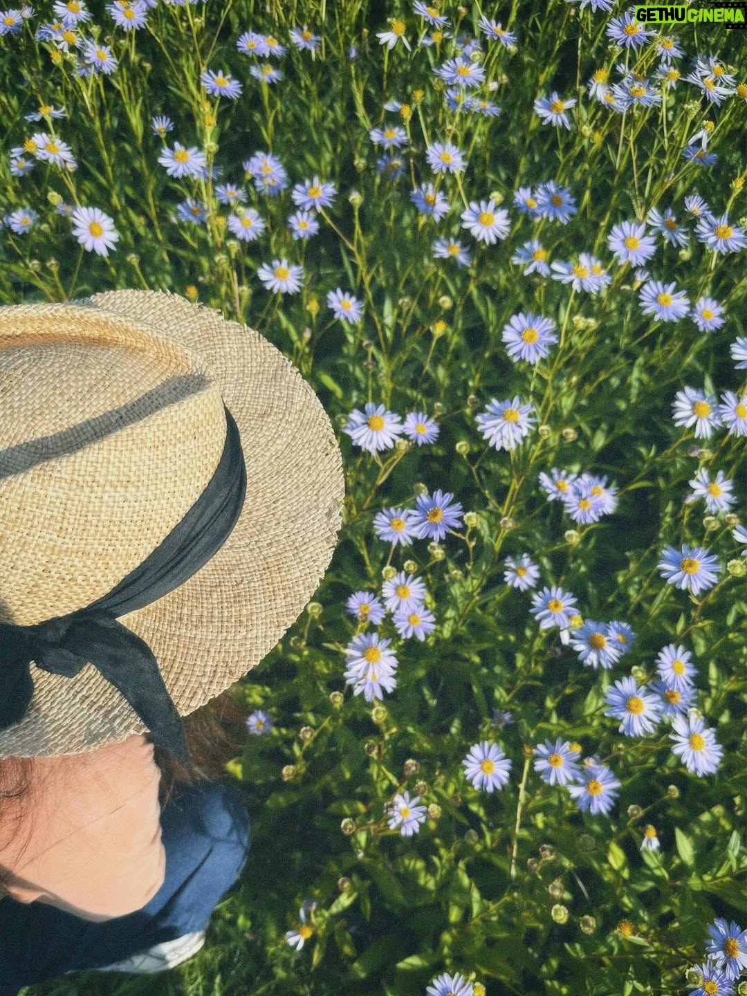 Hebe Tien Fu-chen - 100.6K Likes - 🍂秋分

享受完這個夏天最後一隻冰淇淋，總覺得才告別了難忘的田調，秋分就來到。

秋天竟也過了一半，這些日子你們好嗎？

我一樣，
被大自然、瑜珈、旅行、家人朋友、美食美酒和蜜露珂娜滋養著，覺得充滿活力光采、幸福快樂。

季節更迭，持續補充蜜露珂娜，保持水潤不被秋燥煩擾。我們一起繼續好好保重自己喔！

#秋分
#時光飛逝
#蜜露珂娜
#光速小粉包
#留住水潤光澤

蜜露珂娜補充站👇🏽
https://swe02.com/7EWv3
