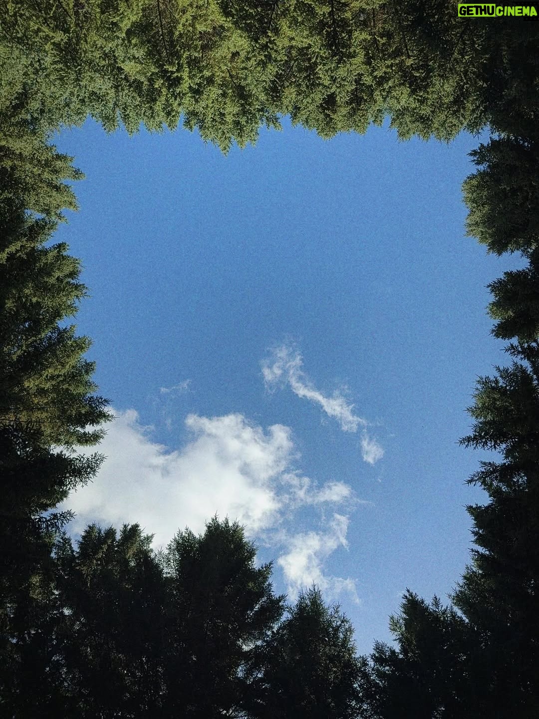 Hebe Tien Fu-chen - 100.6K Likes - 🍂秋分

享受完這個夏天最後一隻冰淇淋，總覺得才告別了難忘的田調，秋分就來到。

秋天竟也過了一半，這些日子你們好嗎？

我一樣，
被大自然、瑜珈、旅行、家人朋友、美食美酒和蜜露珂娜滋養著，覺得充滿活力光采、幸福快樂。

季節更迭，持續補充蜜露珂娜，保持水潤不被秋燥煩擾。我們一起繼續好好保重自己喔！

#秋分
#時光飛逝
#蜜露珂娜
#光速小粉包
#留住水潤光澤

蜜露珂娜補充站👇🏽
https://swe02.com/7EWv3