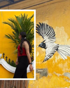 Heena Kumari Instagram - Sun, food & viewsš„„āØ