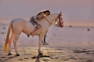 Heer Kaur Instagram - Embracing the horizon's fiery glow✨
📸- @rajeshgohil.photography_
hair and makeup- @minikamakeup
.
.
#trending #sunset #ootd #horse #photography #explore #explorepage