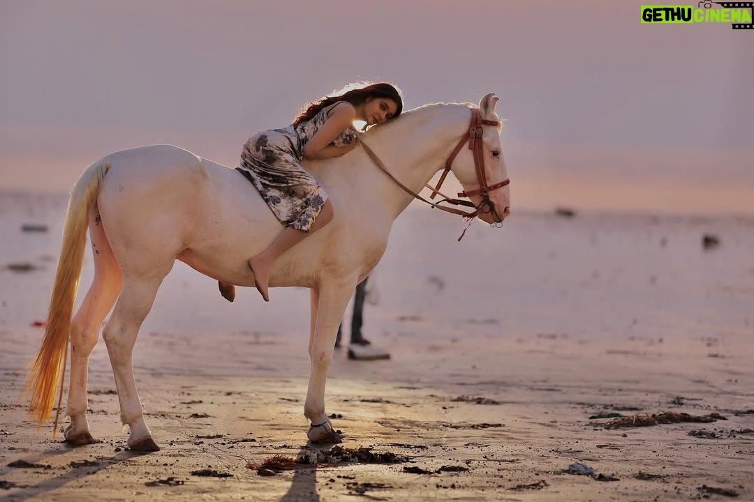 Heer Kaur - 3.9K Likes - Embracing the horizon's fiery glow✨

📸- @rajeshgohil.photography_ 
hair and makeup- @minikamakeup 

.
.
#trending #sunset #ootd #horse #photography #explore #explorepage