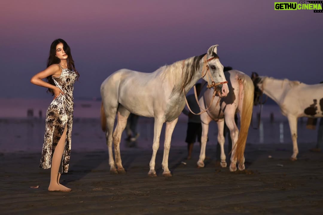 Heer Kaur - 3.9K Likes - Embracing the horizon's fiery glow✨

📸- @rajeshgohil.photography_ 
hair and makeup- @minikamakeup 

.
.
#trending #sunset #ootd #horse #photography #explore #explorepage
