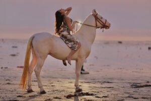 Heer Kaur Instagram - Embracing the horizon's fiery glow✨
📸- @rajeshgohil.photography_
hair and makeup- @minikamakeup
.
.
#trending #sunset #ootd #horse #photography #explore #explorepage