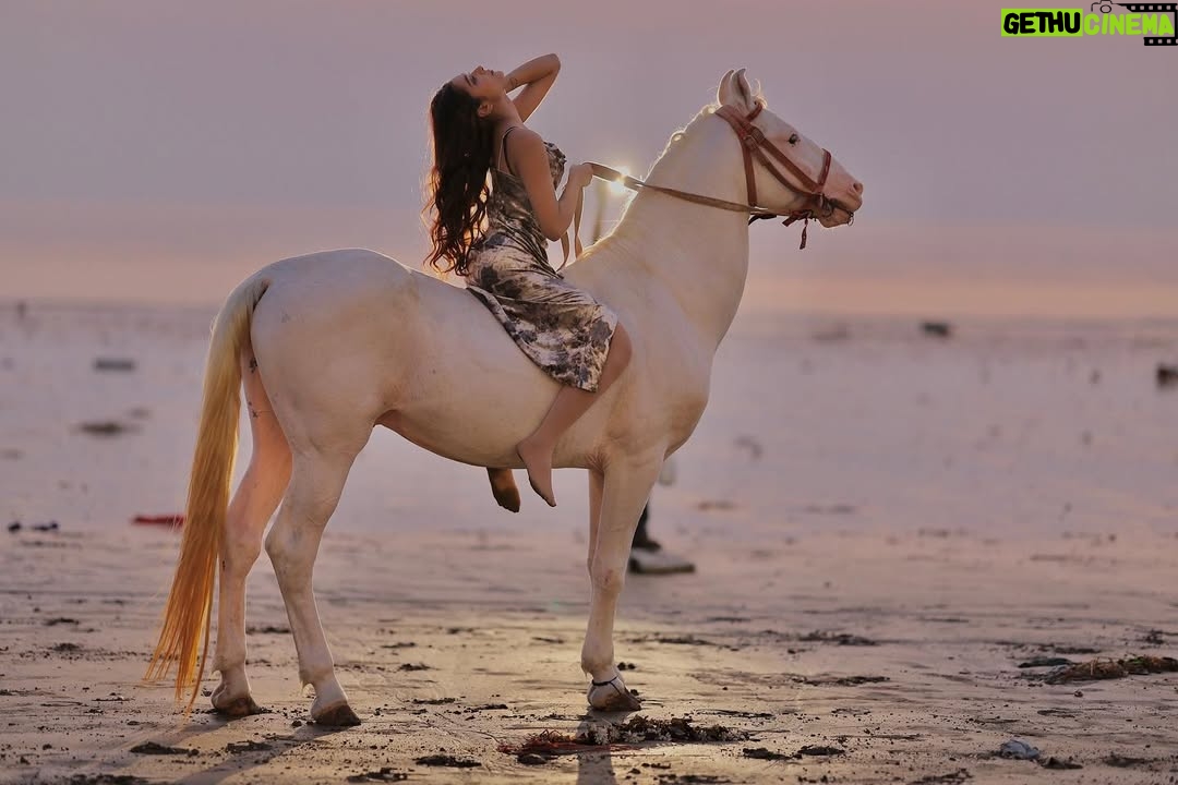 Heer Kaur - 3.9K Likes - Embracing the horizon's fiery glow✨

📸- @rajeshgohil.photography_ 
hair and makeup- @minikamakeup 

.
.
#trending #sunset #ootd #horse #photography #explore #explorepage