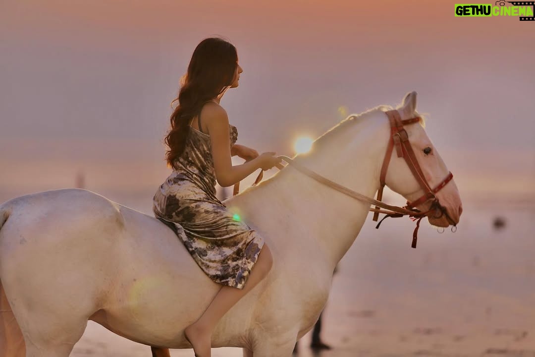 Heer Kaur - 3.9K Likes - Embracing the horizon's fiery glow✨

📸- @rajeshgohil.photography_ 
hair and makeup- @minikamakeup 

.
.
#trending #sunset #ootd #horse #photography #explore #explorepage