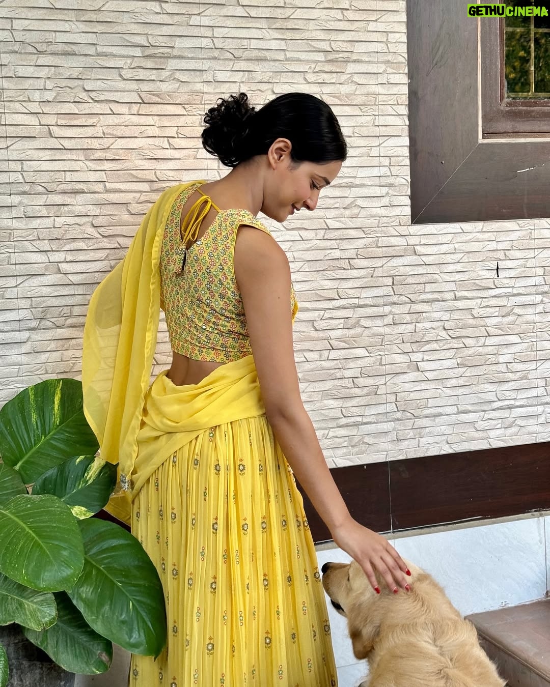 Heer Kaur - 1.5K Likes - Dssso lehnga pavan kehre rang daa👀💛??? #diwali