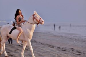 Heer Kaur Instagram - Embracing the horizon's fiery glow✨
📸- @rajeshgohil.photography_
hair and makeup- @minikamakeup
.
.
#trending #sunset #ootd #horse #photography #explore #explorepage