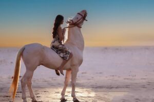 Heer Kaur Instagram - Embracing the horizon's fiery glow✨
📸- @rajeshgohil.photography_
hair and makeup- @minikamakeup
.
.
#trending #sunset #ootd #horse #photography #explore #explorepage