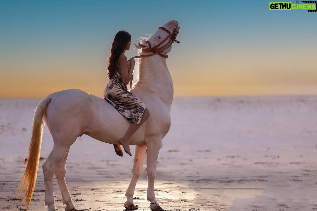 Heer Kaur - 3.9K Likes - Embracing the horizon's fiery glow✨

📸- @rajeshgohil.photography_ 
hair and makeup- @minikamakeup 

.
.
#trending #sunset #ootd #horse #photography #explore #explorepage