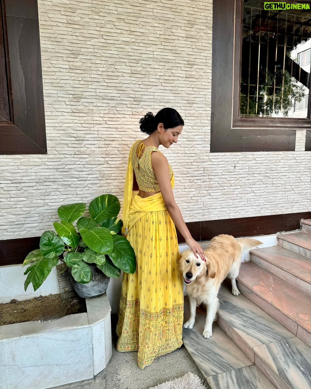 Heer Kaur - 1.5K Likes - Dssso lehnga pavan kehre rang daa👀💛??? #diwali