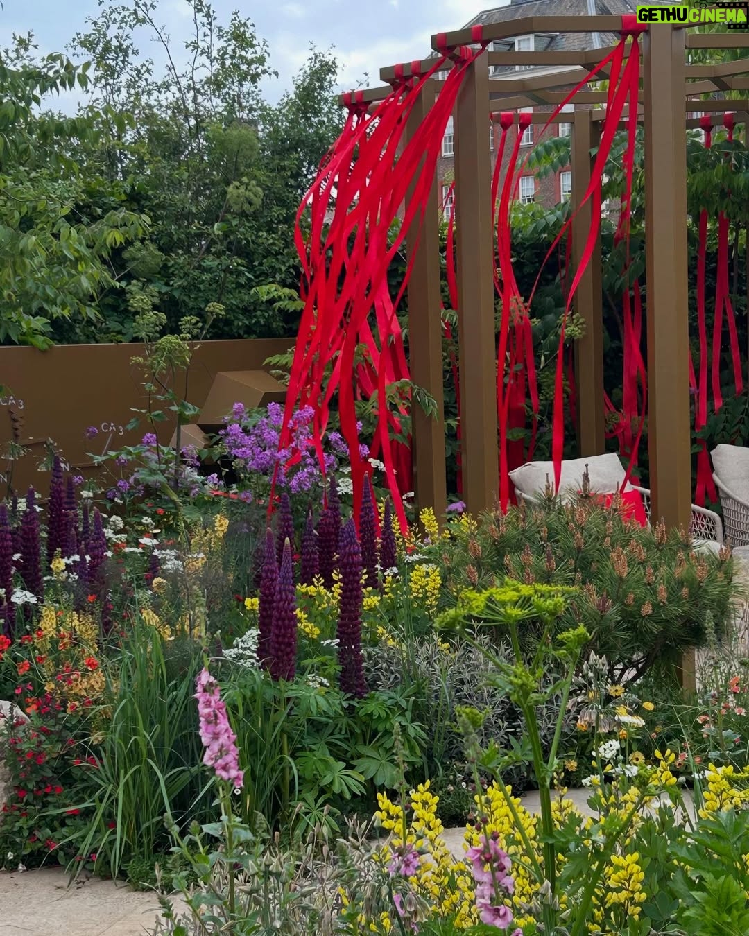 Helen George - 12.6K Likes - Chelsea flower show 2025 with the incredible @childrenwithcanceruk and many more beautiful gardens 🌹