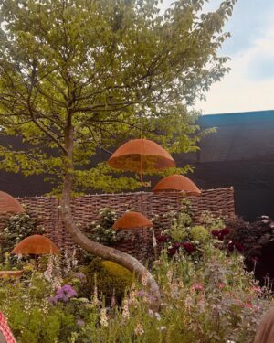 Helen George Instagram - Chelsea flower show 2025 with the incredible @childrenwithcanceruk and many more beautiful gardens 🌹