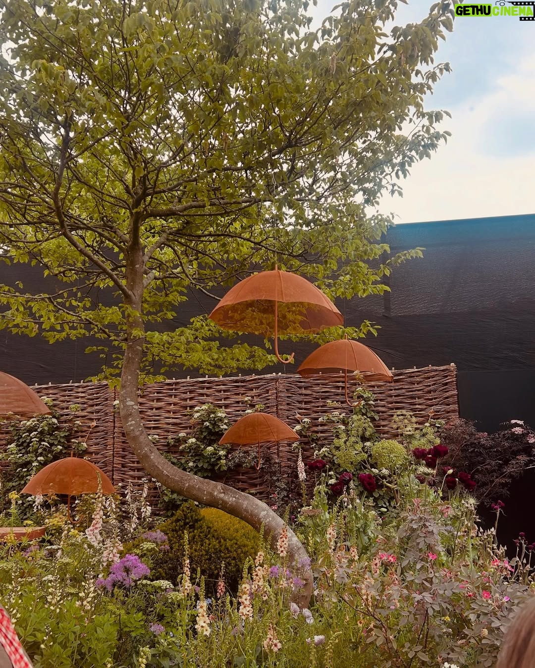 Helen George - 12.6K Likes - Chelsea flower show 2025 with the incredible @childrenwithcanceruk and many more beautiful gardens 🌹