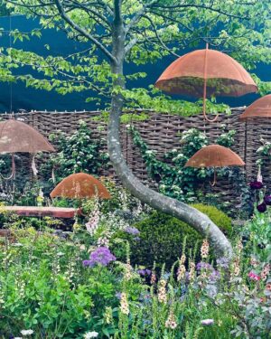 Helen George Instagram - Chelsea flower show 2025 with the incredible @childrenwithcanceruk and many more beautiful gardens 🌹