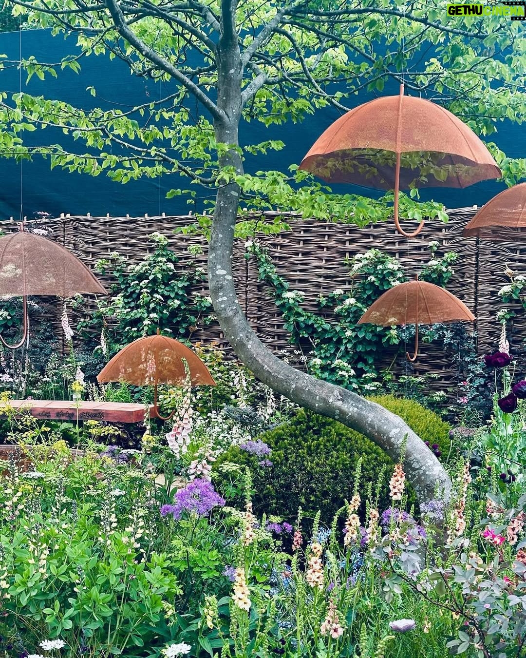Helen George - 12.6K Likes - Chelsea flower show 2025 with the incredible @childrenwithcanceruk and many more beautiful gardens 🌹