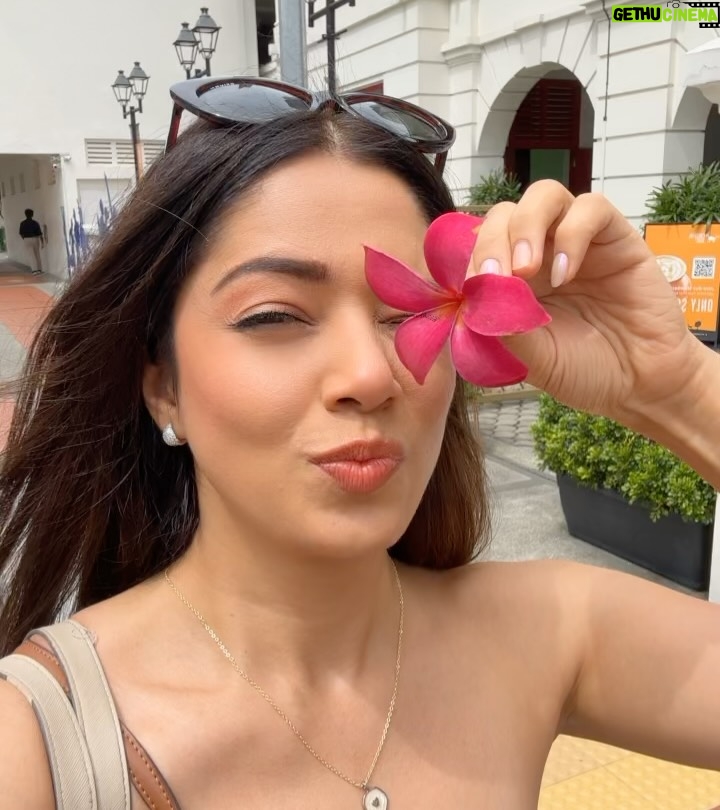 Himani Sahani - 683 Likes - Singapore Camera Crumbs ====== > last one is my favourite.
.
.
.
.
#travelwithhimani #singapore #camera #instagram #instagood #weekend