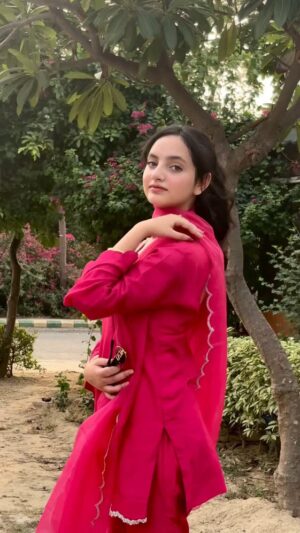 Himanshi Arora Instagram -
