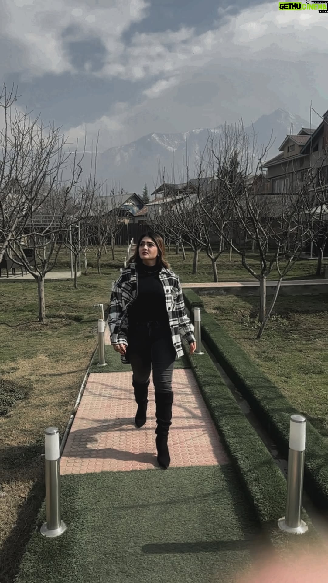 Humaira Chohan - 1.9K Likes - Akeli Rehti Hu 🦁 Ki Tarah  #trending #réel #reelitfeelit #reelinstagram #reels