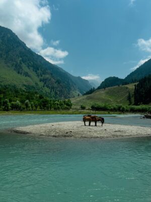 Ilisha Singh Kaurav Instagram - I know a spot 🏞️