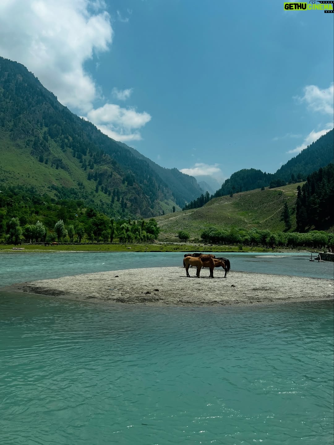 Ilisha Singh Kaurav - 49.7K Likes - I know a spot 🏞️