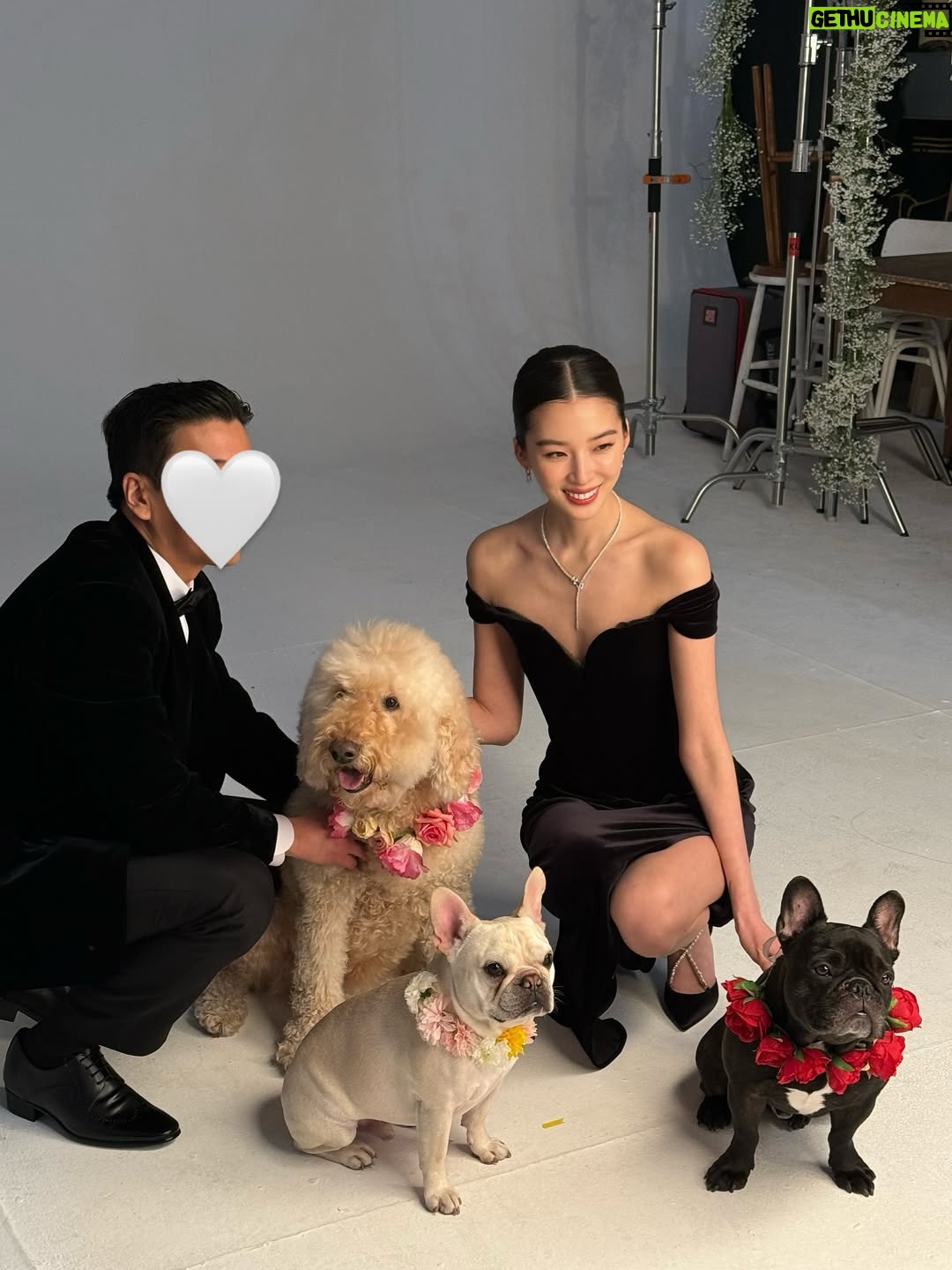 Irene Kim - 48K Likes - Doobie, my girl ❤️ I met you through the love of my life, and from that moment I grew to love you as my own baby. Thank you for accepting me as your mommy and for bringing so much joy, warmth, and love into our lives. I wish I knew you sooner so I could spoil you more. Rest peacefully in puppy heaven, sweet angel.