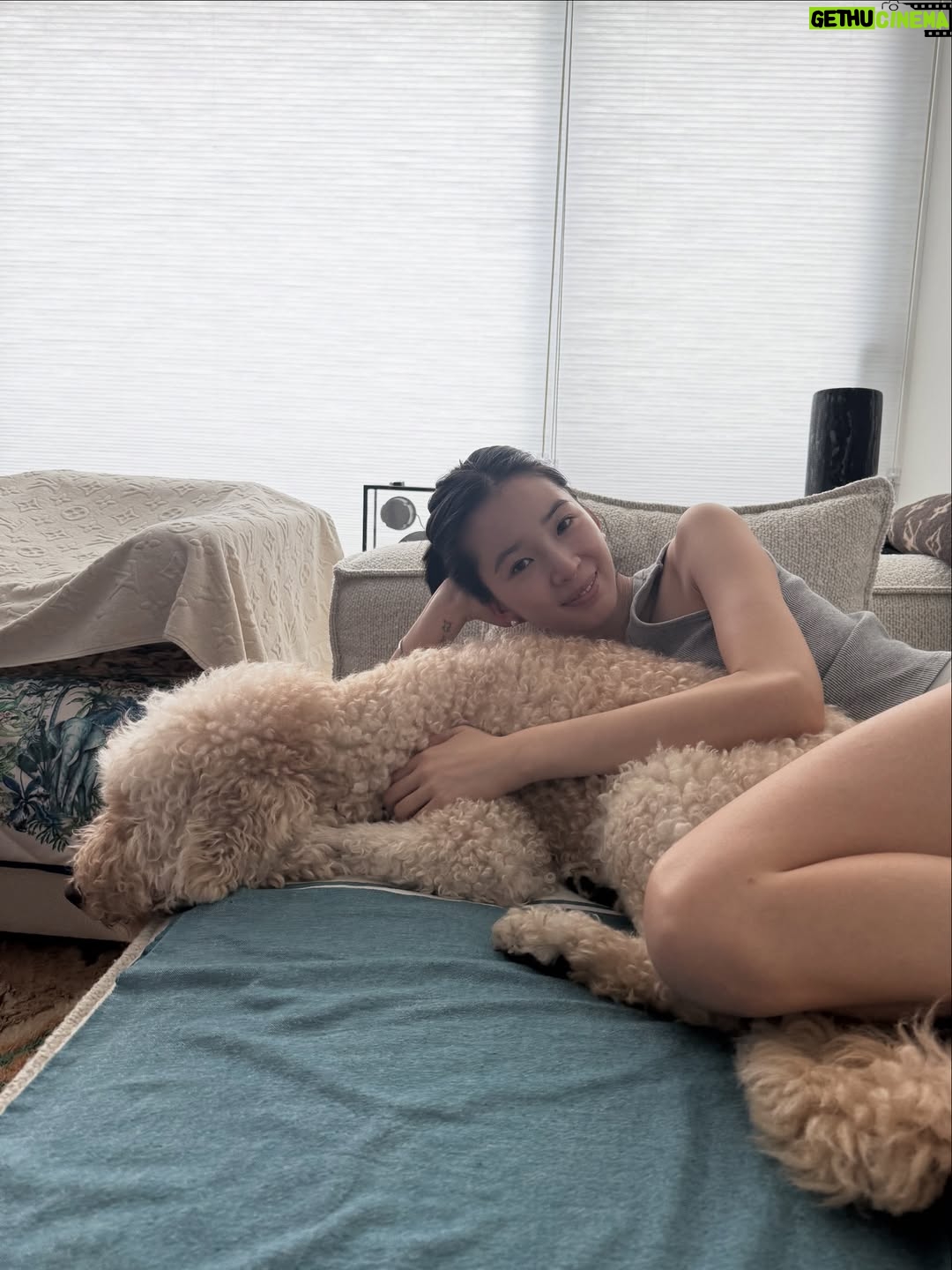 Irene Kim - 48K Likes - Doobie, my girl ❤️ I met you through the love of my life, and from that moment I grew to love you as my own baby. Thank you for accepting me as your mommy and for bringing so much joy, warmth, and love into our lives. I wish I knew you sooner so I could spoil you more. Rest peacefully in puppy heaven, sweet angel.