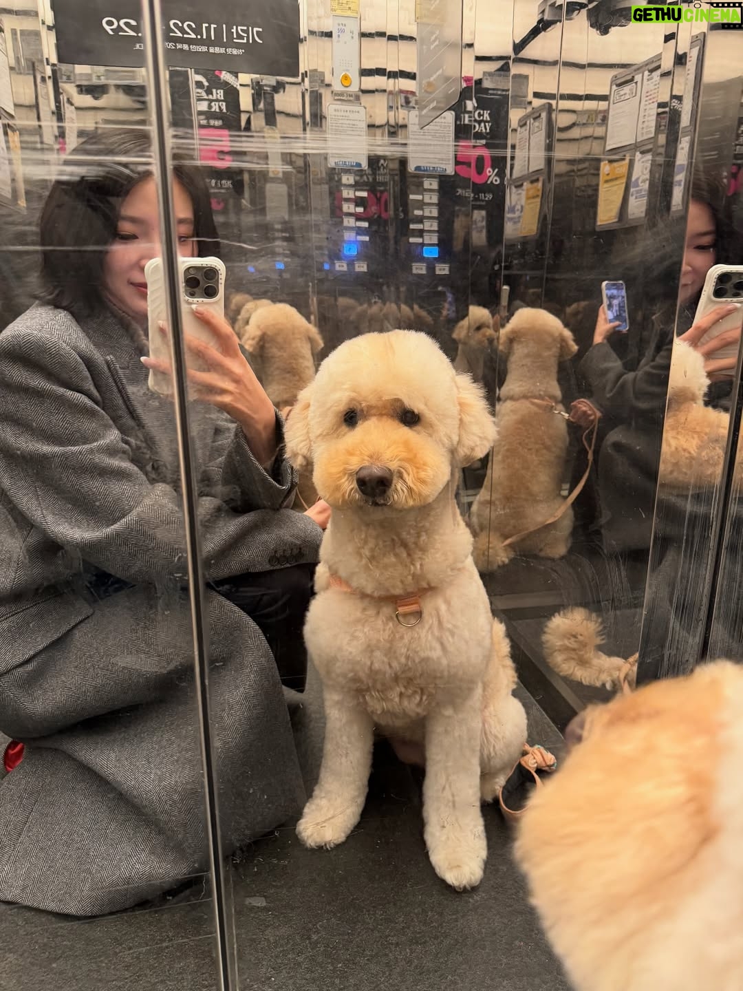Irene Kim - 48K Likes - Doobie, my girl ❤️ I met you through the love of my life, and from that moment I grew to love you as my own baby. Thank you for accepting me as your mommy and for bringing so much joy, warmth, and love into our lives. I wish I knew you sooner so I could spoil you more. Rest peacefully in puppy heaven, sweet angel.