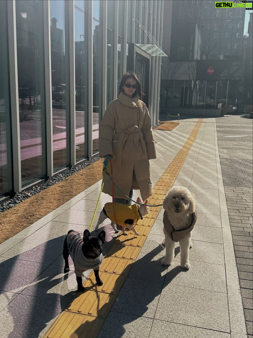 Irene Kim - 48K Likes - Doobie, my girl ❤️ I met you through the love of my life, and from that moment I grew to love you as my own baby. Thank you for accepting me as your mommy and for bringing so much joy, warmth, and love into our lives. I wish I knew you sooner so I could spoil you more. Rest peacefully in puppy heaven, sweet angel.