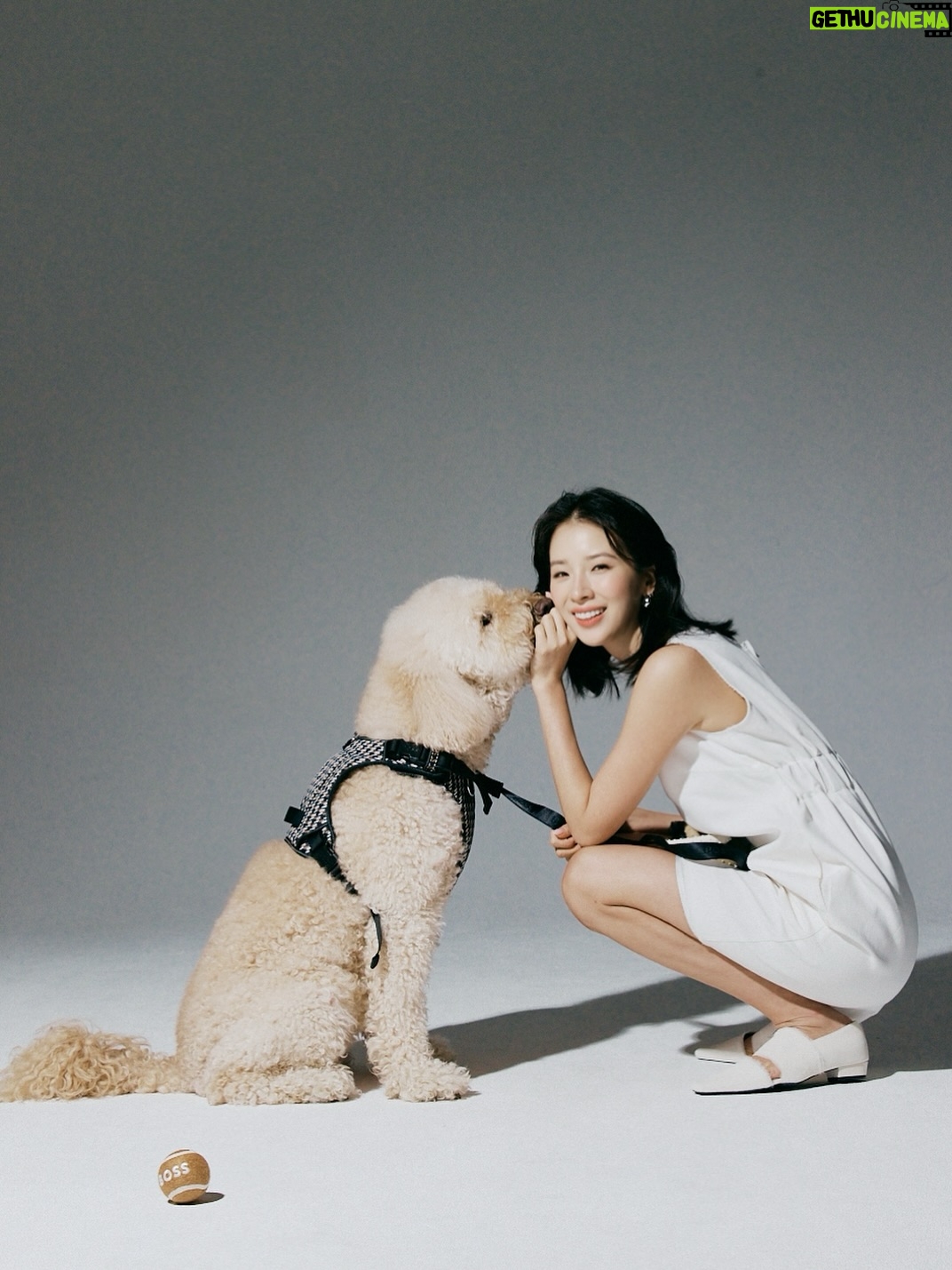 Irene Kim - 48K Likes - Doobie, my girl ❤️ I met you through the love of my life, and from that moment I grew to love you as my own baby. Thank you for accepting me as your mommy and for bringing so much joy, warmth, and love into our lives. I wish I knew you sooner so I could spoil you more. Rest peacefully in puppy heaven, sweet angel.