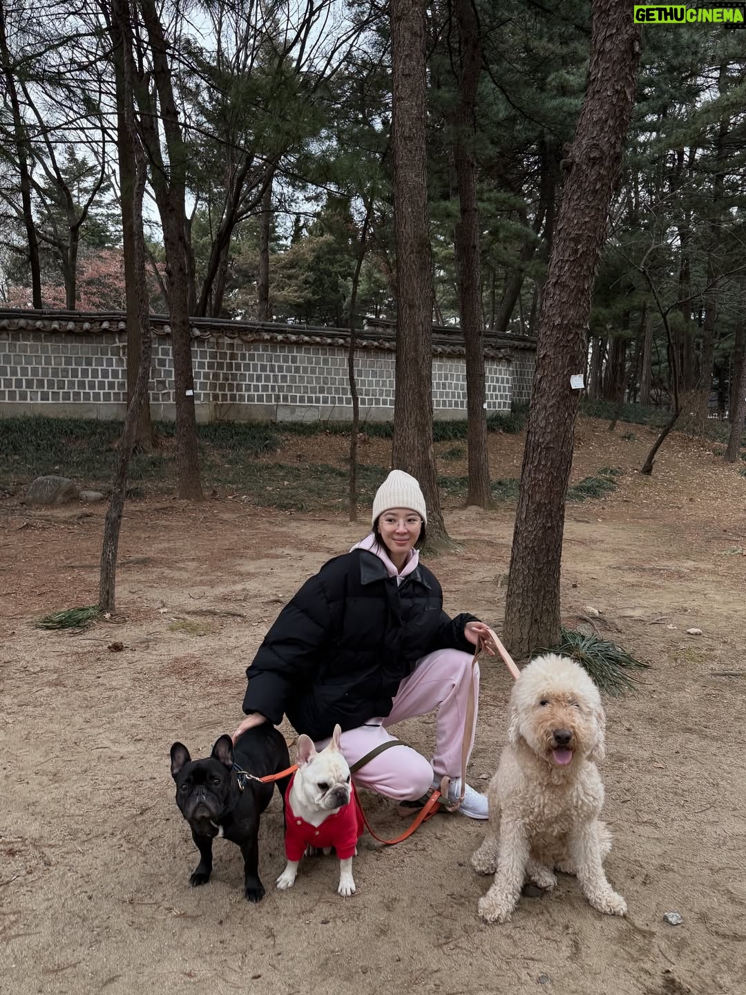 Irene Kim - 48K Likes - Doobie, my girl ❤️ I met you through the love of my life, and from that moment I grew to love you as my own baby. Thank you for accepting me as your mommy and for bringing so much joy, warmth, and love into our lives. I wish I knew you sooner so I could spoil you more. Rest peacefully in puppy heaven, sweet angel.
