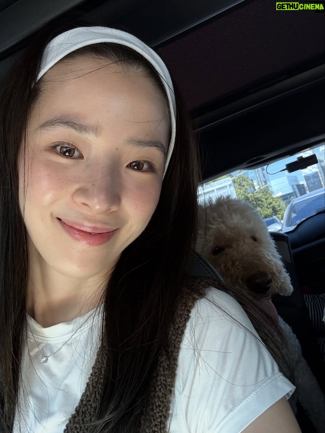 Irene Kim - 48K Likes - Doobie, my girl ❤️ I met you through the love of my life, and from that moment I grew to love you as my own baby. Thank you for accepting me as your mommy and for bringing so much joy, warmth, and love into our lives. I wish I knew you sooner so I could spoil you more. Rest peacefully in puppy heaven, sweet angel.