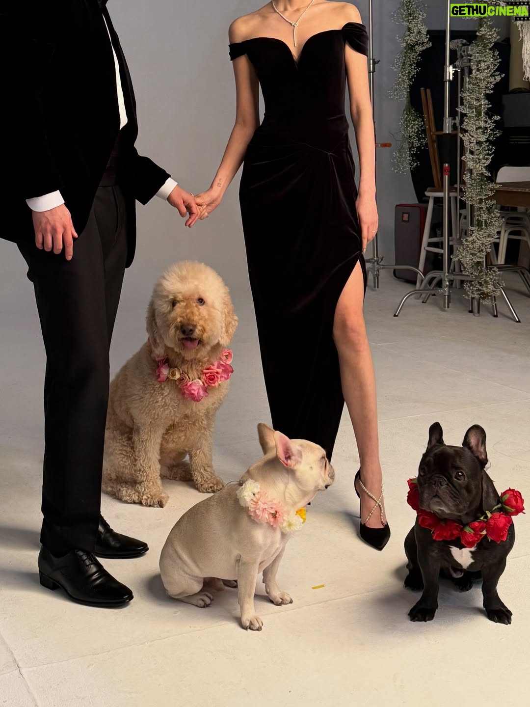 Irene Kim - 48K Likes - Doobie, my girl ❤️ I met you through the love of my life, and from that moment I grew to love you as my own baby. Thank you for accepting me as your mommy and for bringing so much joy, warmth, and love into our lives. I wish I knew you sooner so I could spoil you more. Rest peacefully in puppy heaven, sweet angel.