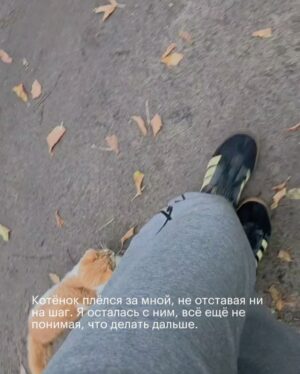 Irina Gorbacheva Instagram - Есть прекрасная фраза Альберта Эйнштейна, которая попалась мне недавно: «Есть только два способа прожить жизнь. Первый — будто чудес не существует. Второй — будто кругом одни чудеса». Таким образом, «прожить жизнь как чудо» означает выбрать второй способ, воспринимая всё вокруг как чудо и живя в этом настроении 🙌🫂❤️‍🔥