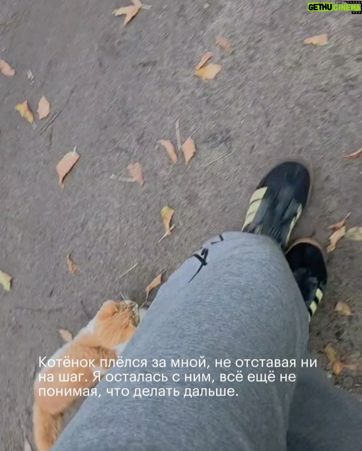 Irina Gorbacheva - 195.1K Likes - Есть прекрасная фраза Альберта Эйнштейна, которая попалась мне недавно: «Есть только два способа прожить жизнь. Первый — будто чудес не существует. Второй — будто кругом одни чудеса». Таким образом, «прожить жизнь как чудо» означает выбрать второй способ, воспринимая всё вокруг как чудо и живя в этом настроении 🙌🫂❤️‍🔥