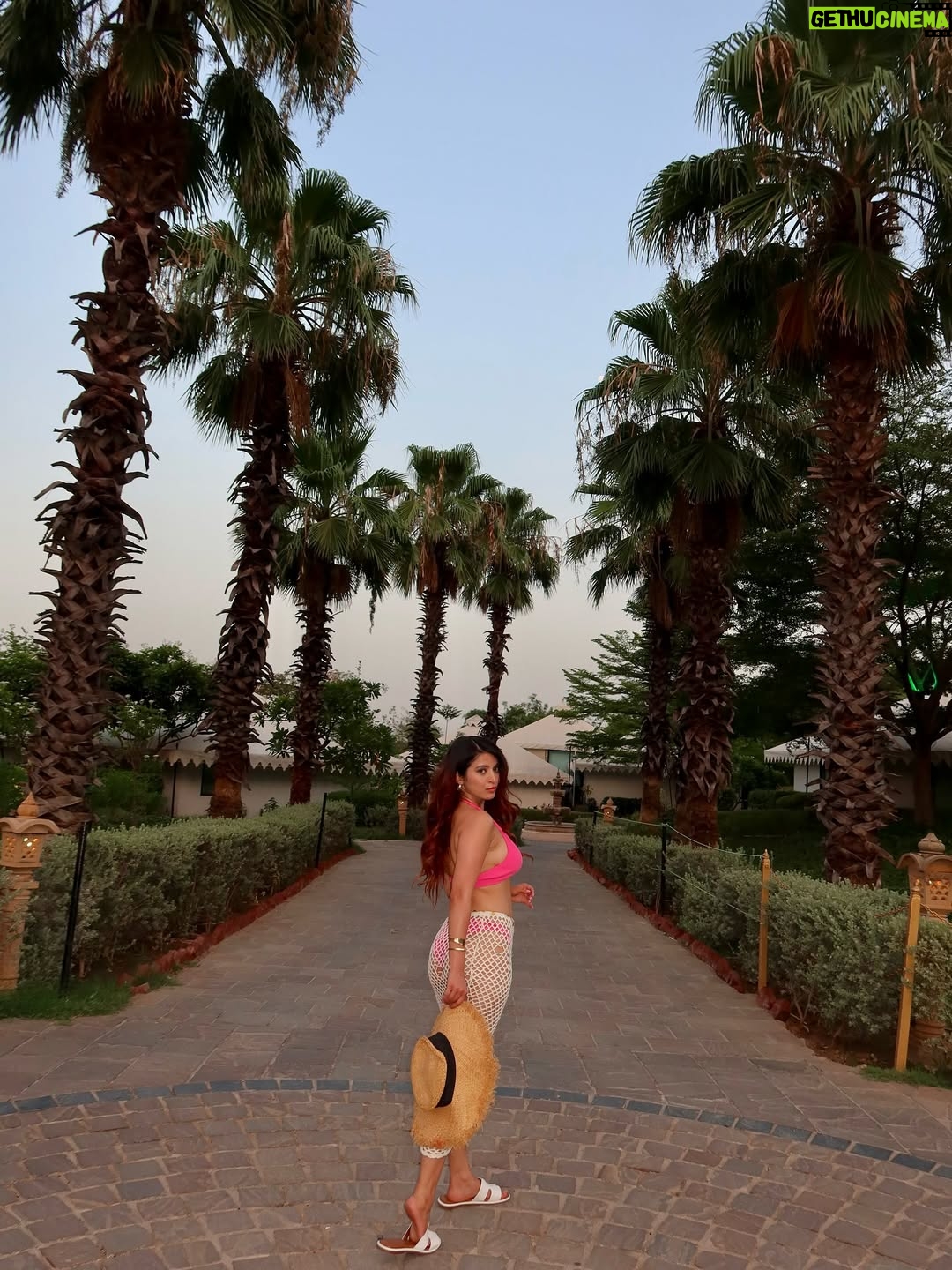Ishita Anand - 6.1K Likes - Somewhere between palm trees and pool dreams… you’ll find me, in pink💖

Swipe through and tell me your fav pic ? I’m curious 👀👇

[pink bikini, summer photo dump, palm tree aesthetic, luxury poolside look, resort wear inspo, swimsuit content, golden hour glow, tropical vibes only, travel fashion, aesthetic outfit carousel, jaipur luxury resort, poolside photoshoot, vacation outfit ideas, indian content creator, tropical outfit inspiration]