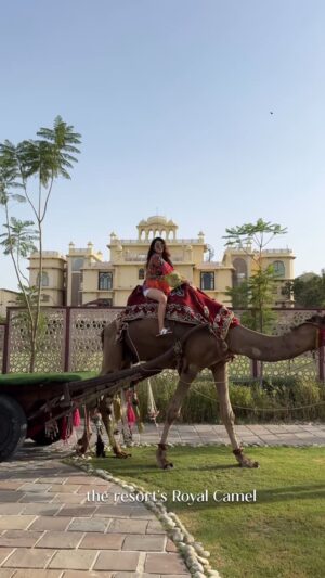 Ishita Anand Instagram - What happens when you take a 4-hour drive from Delhi?
Royal welcomes, private villas, dreamy thalis, spa days and a surprise royal ride at the end.
This isn’t just a stay… it’s a whole MOOD😍

Swipe into my weekend escape 🌸
Watch till the end - it loops 😉

[jaipur travel, jaipur resort, rajasthan staycation, luxury resort india, weekend getaway from delhi, indian travel reel, rajasthani thali, best resorts near delhi, travel content creator india, influencer getaway, delhi to jaipur trip, kukas, Rajasthani style, mini vlog, Rajasthali Resort, 5 star hotels in Jaipur ] #Hosted