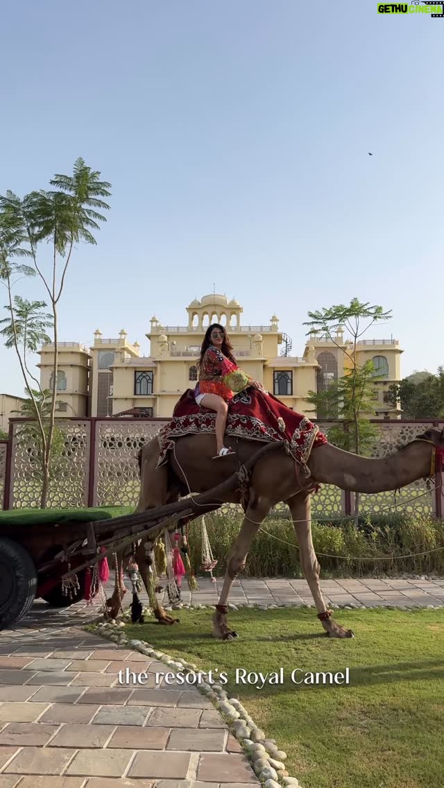 Ishita Anand - 2.2K Likes - What happens when you take a 4-hour drive from Delhi?
Royal welcomes, private villas, dreamy thalis, spa days and a surprise royal ride at the end.
This isn’t just a stay… it’s a whole MOOD😍

Swipe into my weekend escape 🌸
Watch till the end - it loops 😉

[jaipur travel, jaipur resort, rajasthan staycation, luxury resort india, weekend getaway from delhi, indian travel reel, rajasthani thali, best resorts near delhi, travel content creator india, influencer getaway, delhi to jaipur trip, kukas, Rajasthani style, mini vlog, Rajasthali Resort, 5 star hotels in Jaipur ] #Hosted