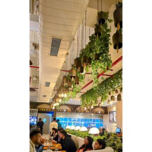 Ishita Aroraa Instagram - Christmas Edit 🎄 2024
(Part-2 Ofc)
.
.
.
.
.
.
.
.
.
#relatable #memestagram #memesdaily #explore #explorepage #trendingreels #exploremore
.
.
.
#pictureperfectmemories #pictureperfectdecor #pictureperfectday #pictureperfectdesign #pictureperfectchallenge #pictureperfectbuilds #pictureperfectphotography #pictureperfectphotos #pictureperfectmoment #picture
#ia #reelsinstagram #reelsındia
#travel #travelphotography